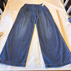 GAP Classic Indigo Denim Pants